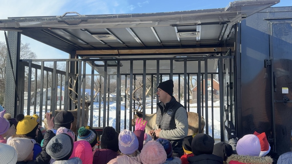 Owner presenting reindeer information