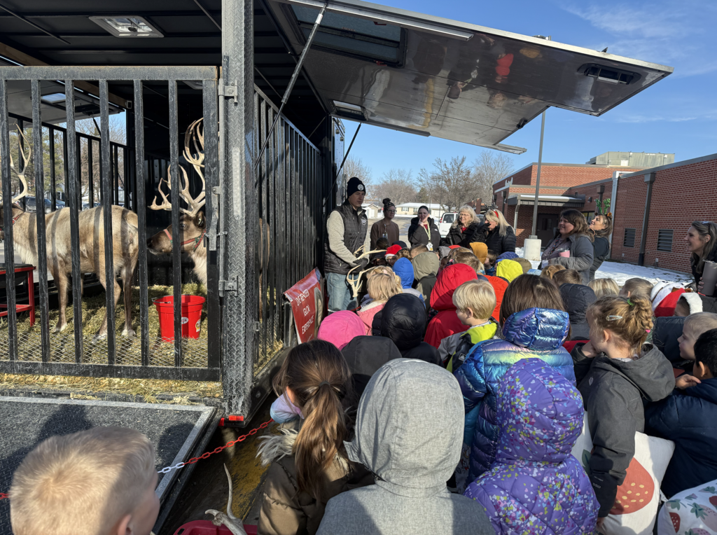 Students looking at reindeer