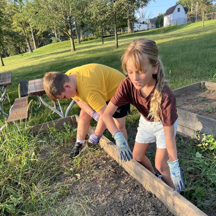 students with gloves on working in a garden plot