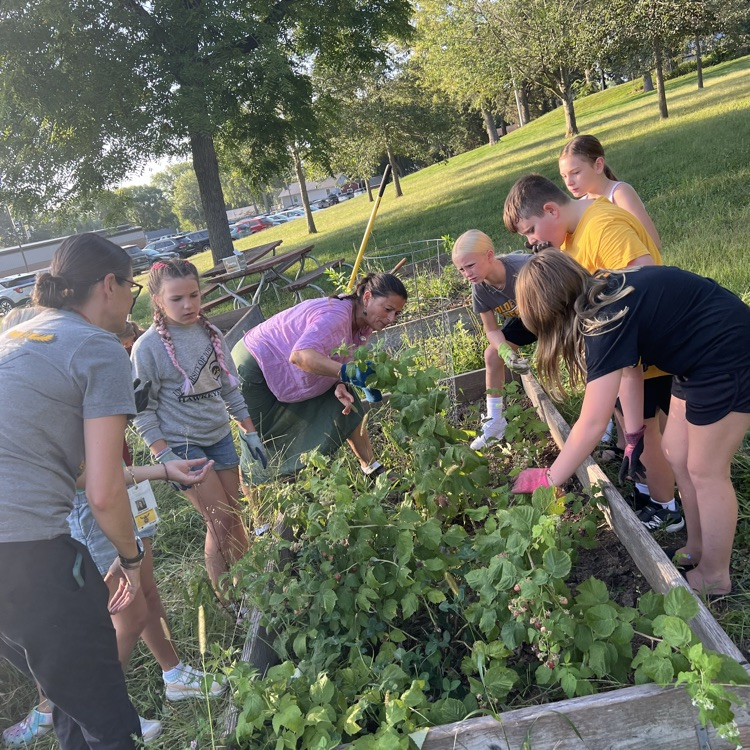 students with gloves on working in a garden plot
