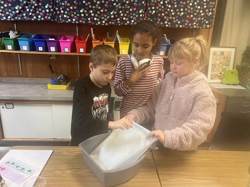 students completing a science experiment