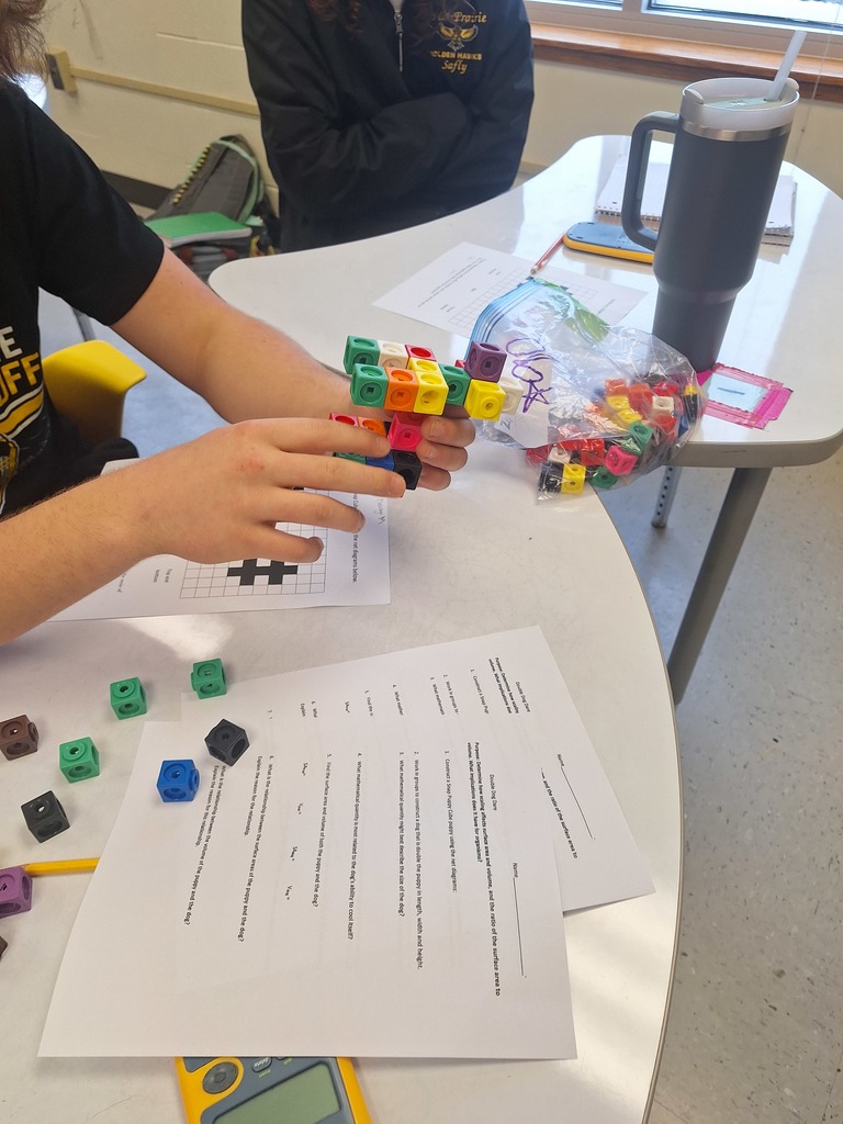 Students building 3D cube animals