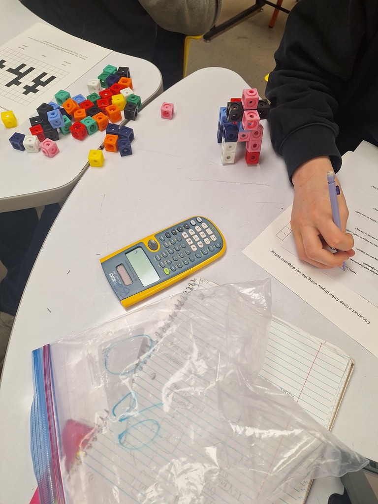 Students building 3D cube animals