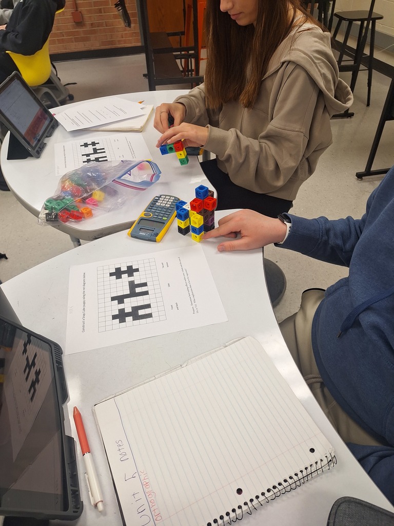 Students building 3D cube animals