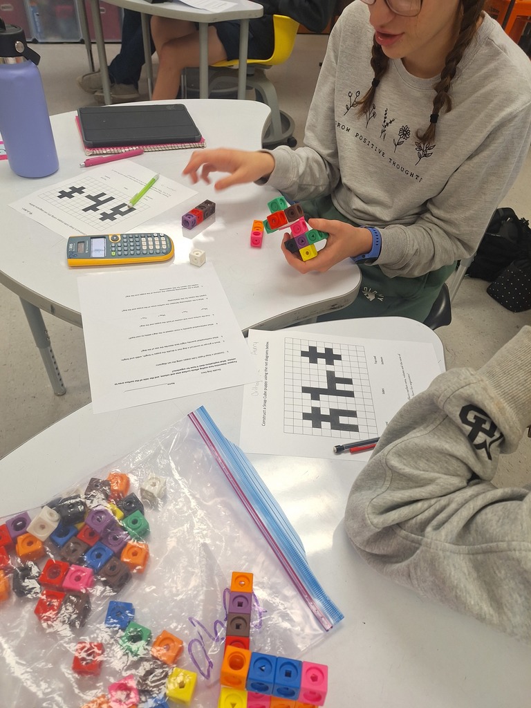Students building 3D cube animals
