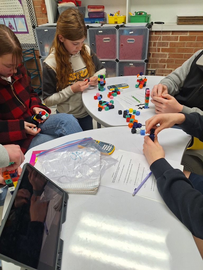 Students building 3D cube animals