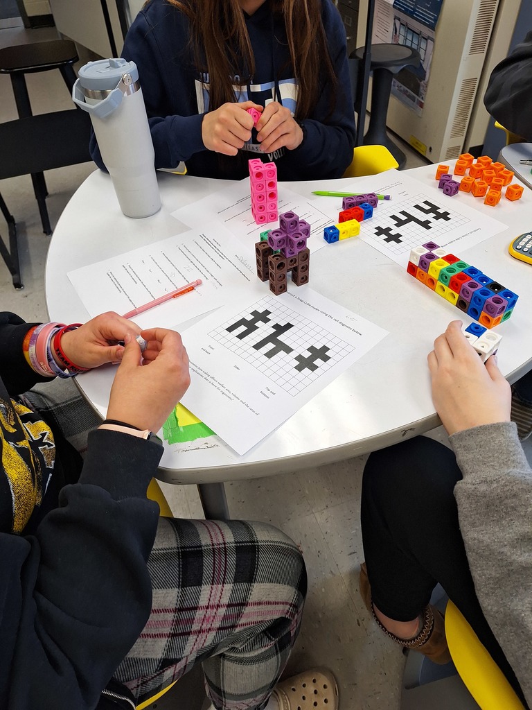 Students building 3D cube animals