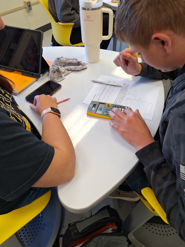Geometry student working on a surface area and volume project