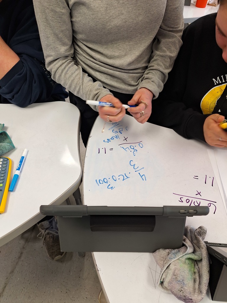 Geometry student working on a surface area and volume project