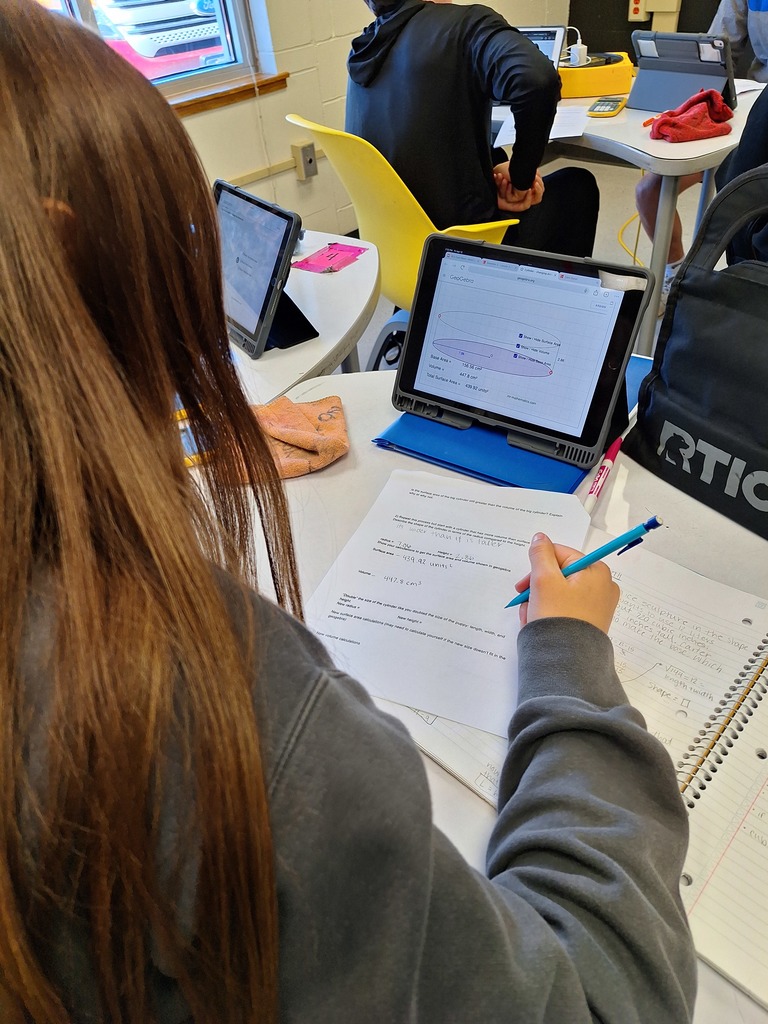 Geometry student working on a surface area and volume project