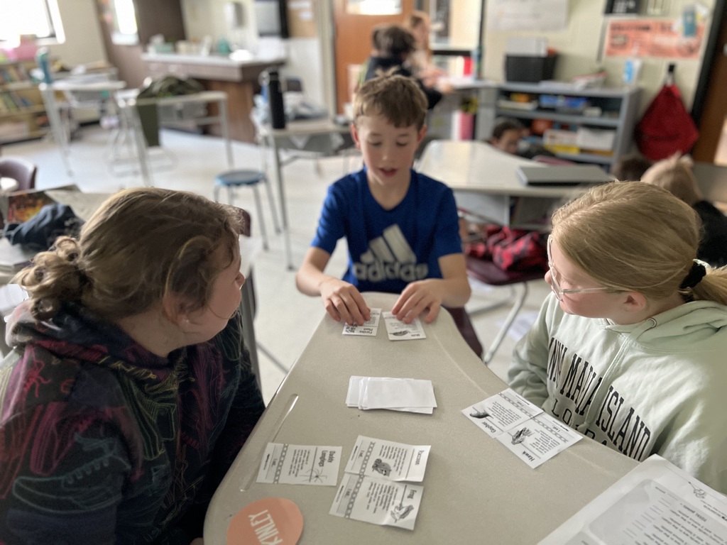 5th graders organizing food chain cards for a science activity