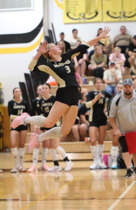 MP volleyball player jumping up into the air spiking the ball in a black #3 jersey with a crowd behind her on the bleachers