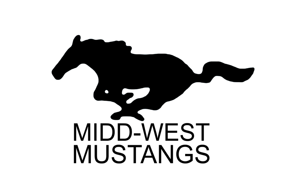 Running Mustang