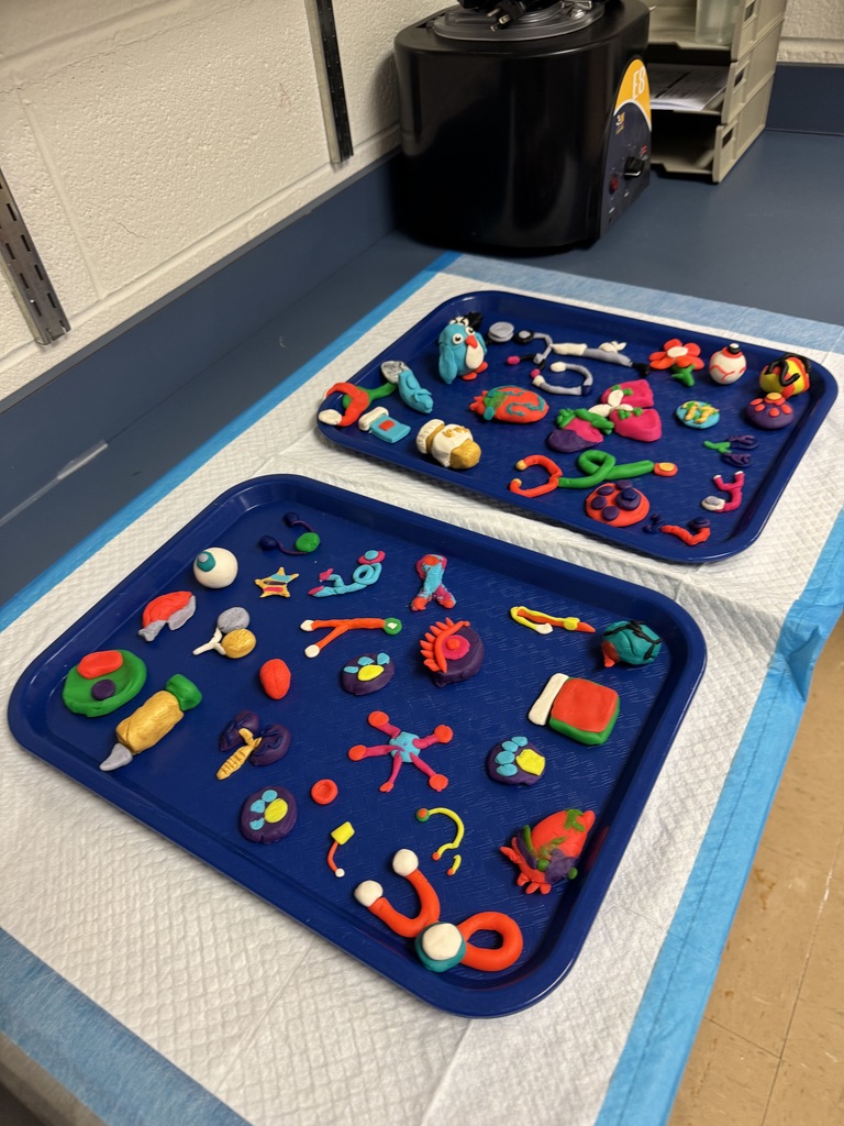 Photo of crafts that the students did of body parts