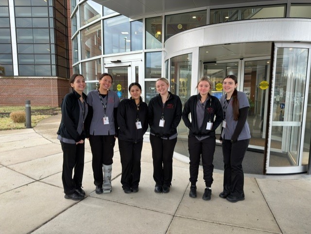 It's a group of medical and health professions students standing in front of Penn Medicine in their scrubs with their badges