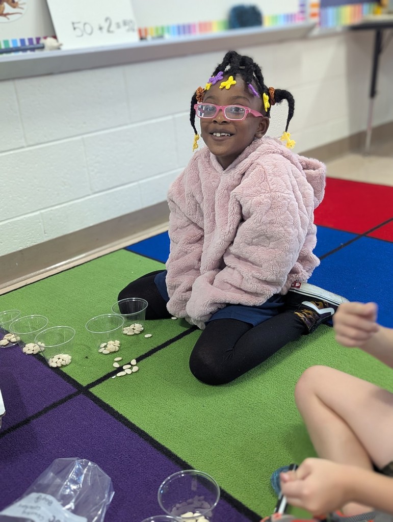 Hands-on Counting Collections