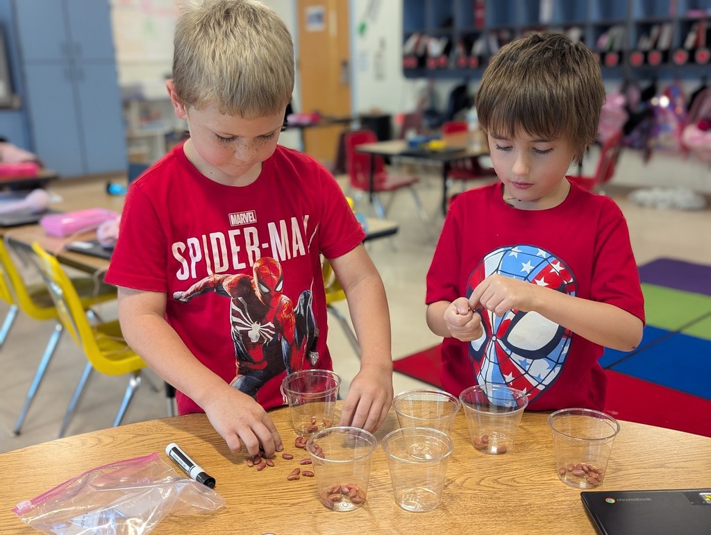 Hands-on Counting Collections