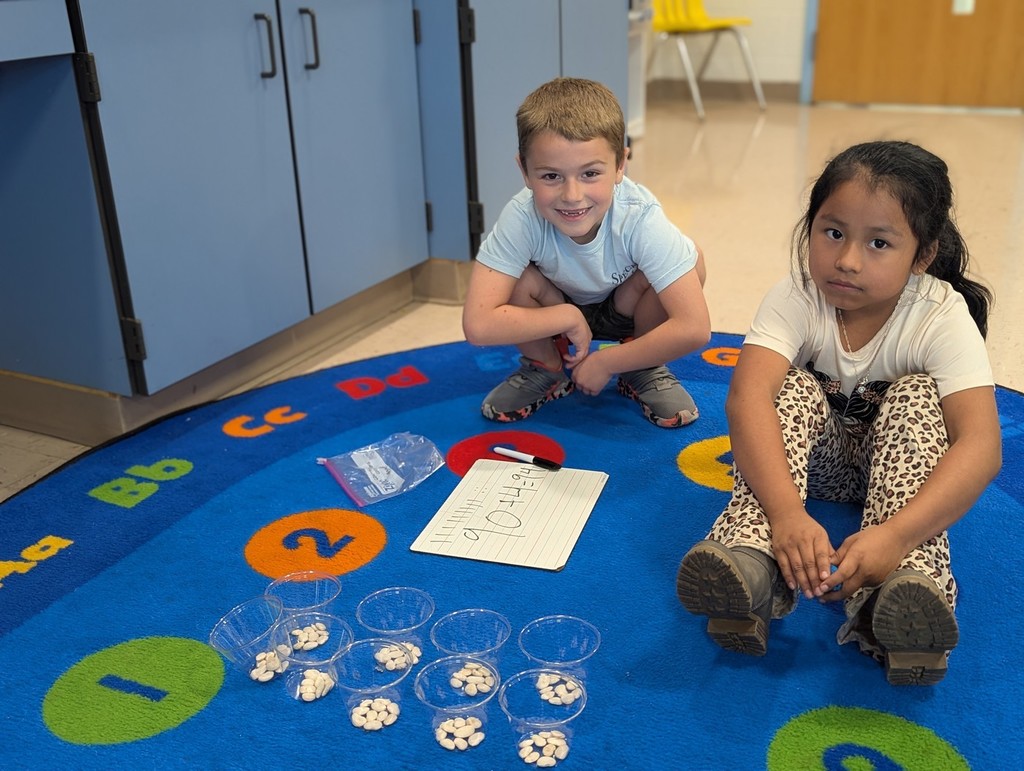 Hands-on Counting Collections