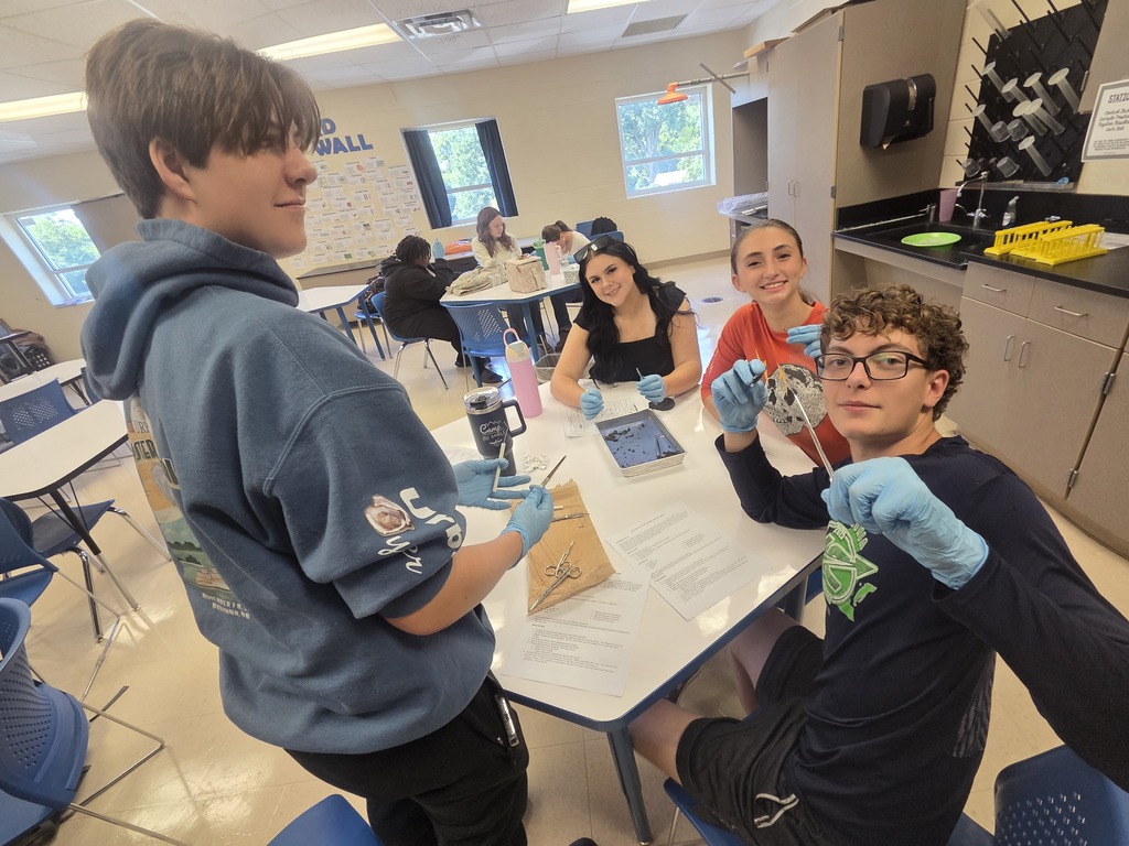 Owl pellet dissection