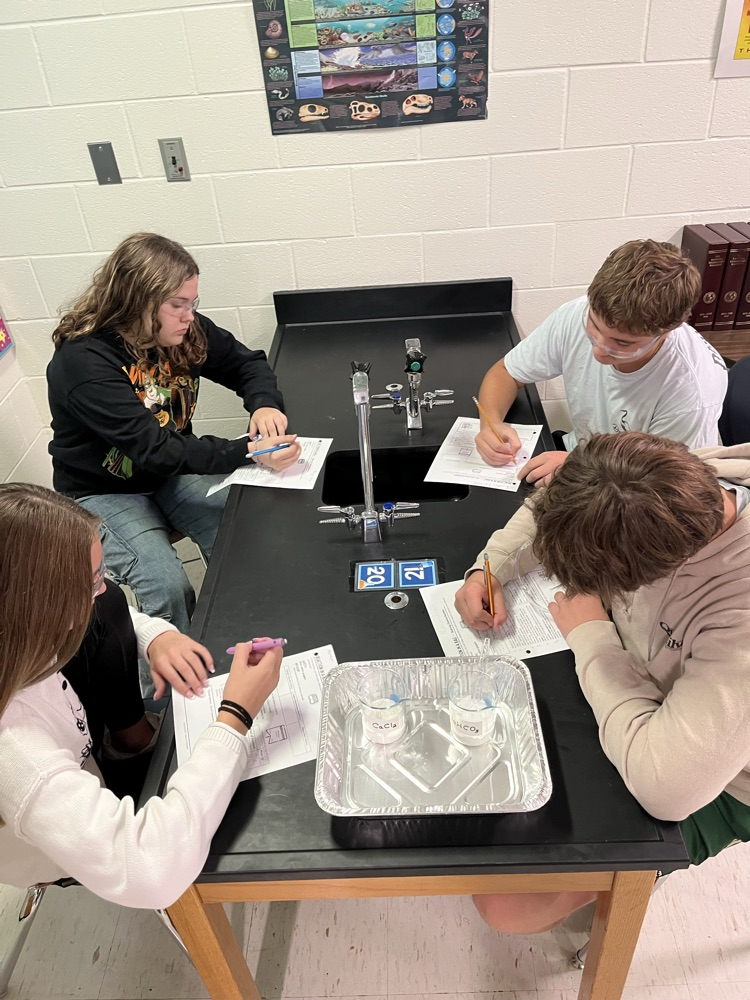 lab