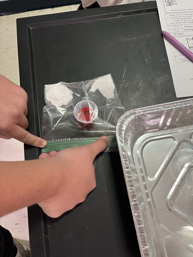 lab