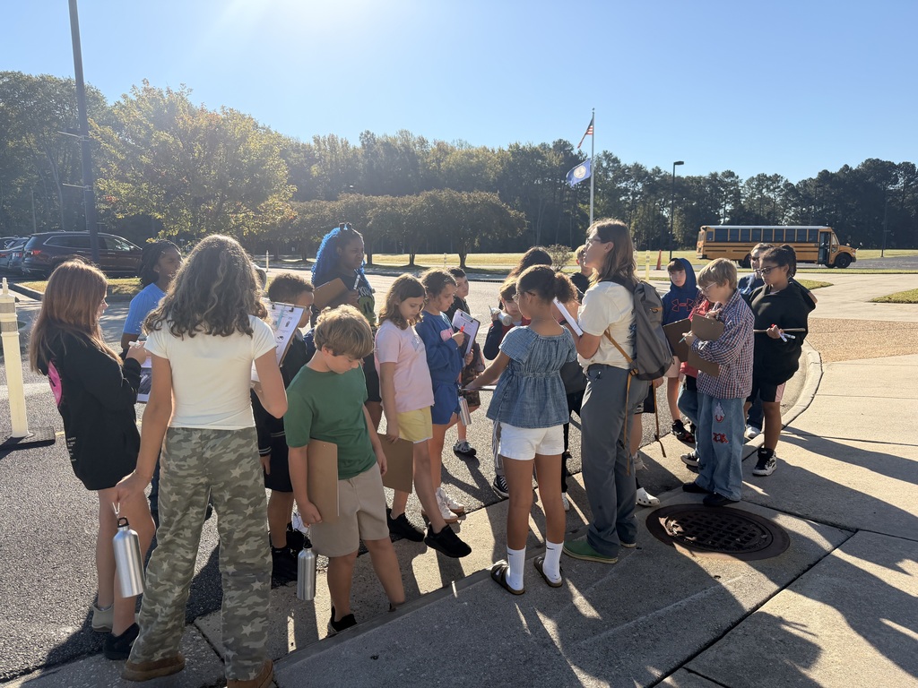 Students exploring outdoor ecosystems.