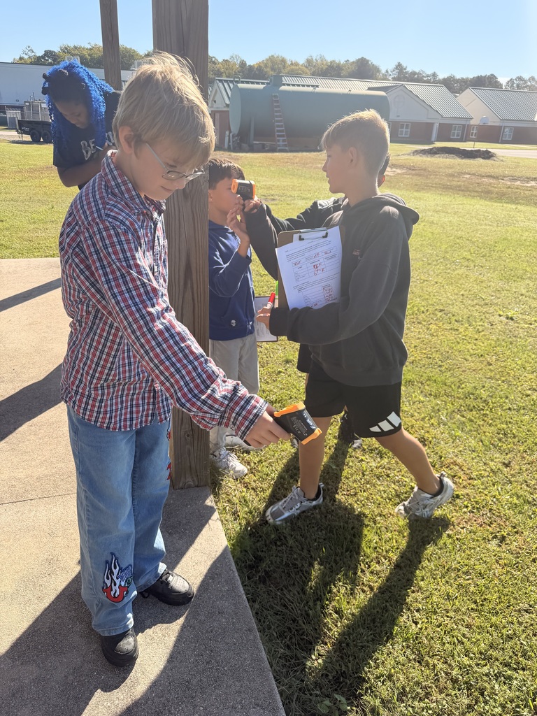 Students exploring outdoor ecosystems.