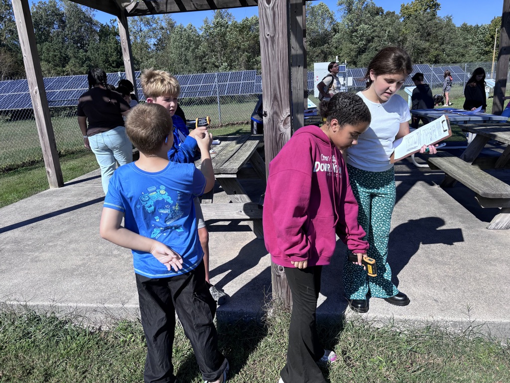 Students exploring outdoor ecosystems.