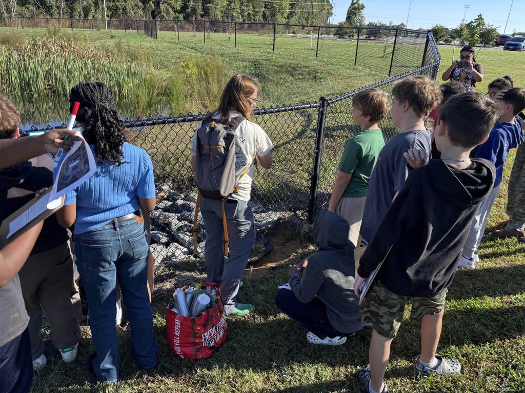 Students exploring outdoor ecosystems.