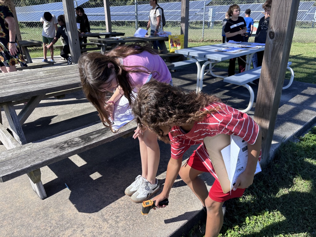 Students exploring outdoor ecosystems.