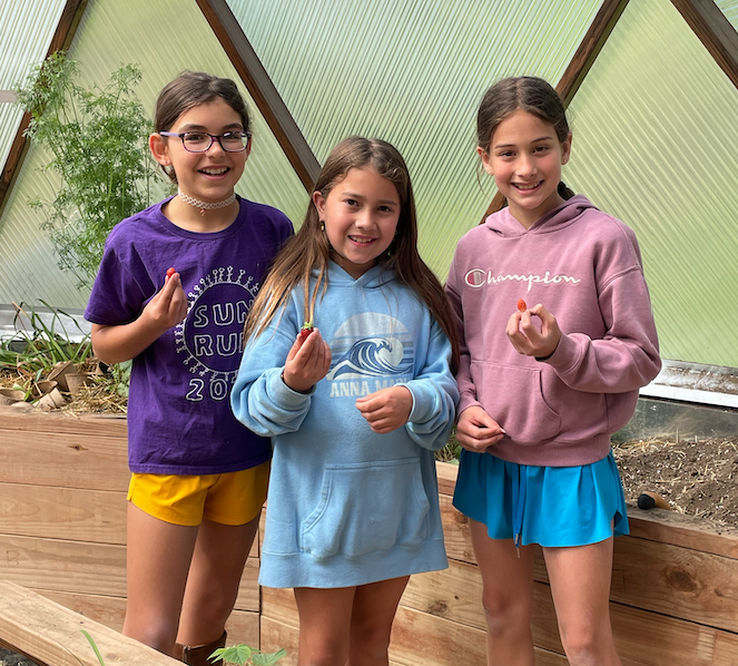 Students in the greenhouse