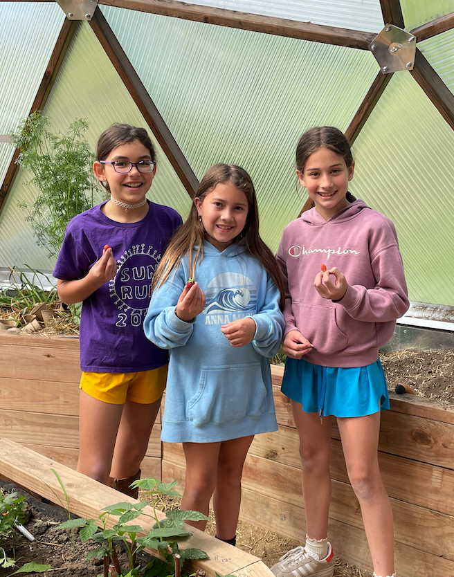 Students in the greenhouse