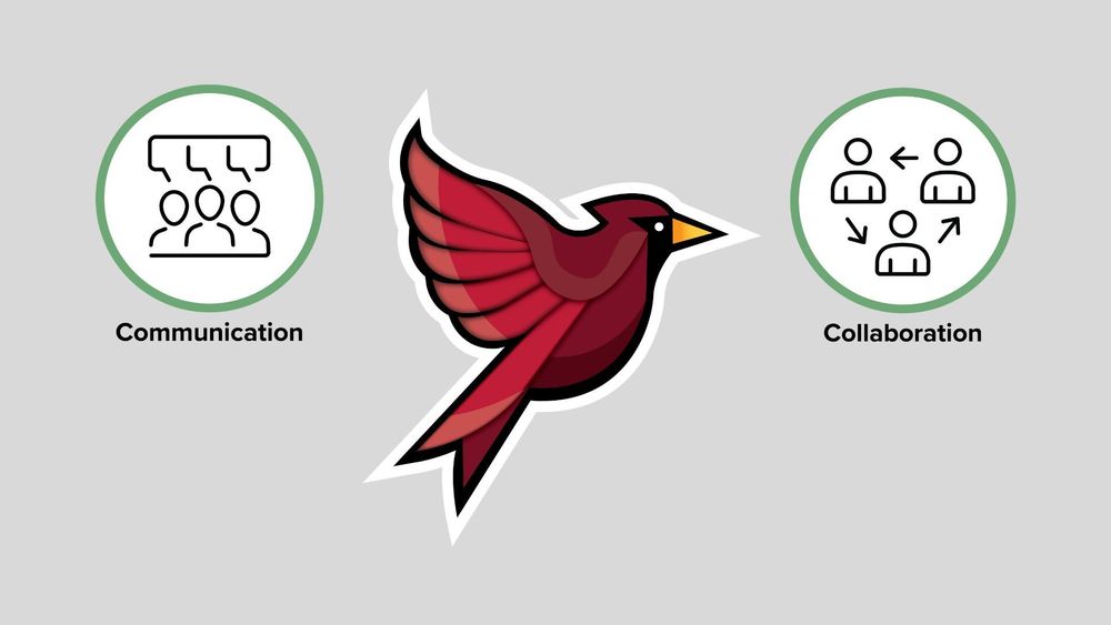 A Cardinal's Journey