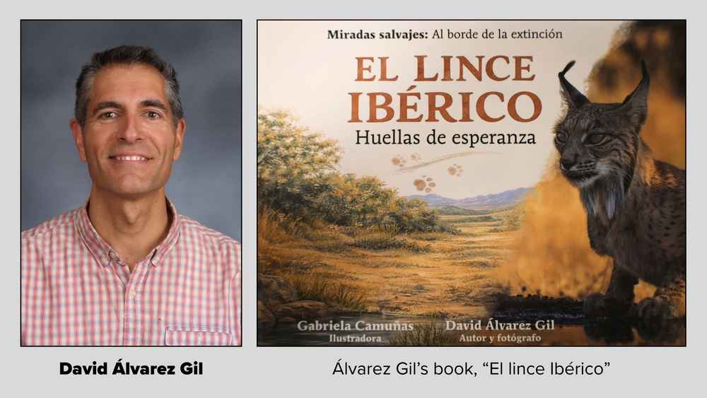 David Alvarez Gil