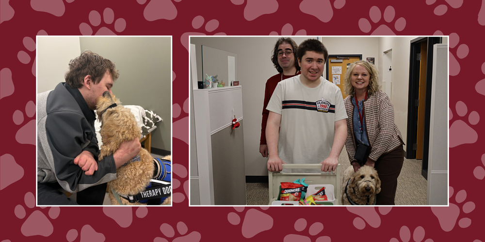 Therapy Dogs