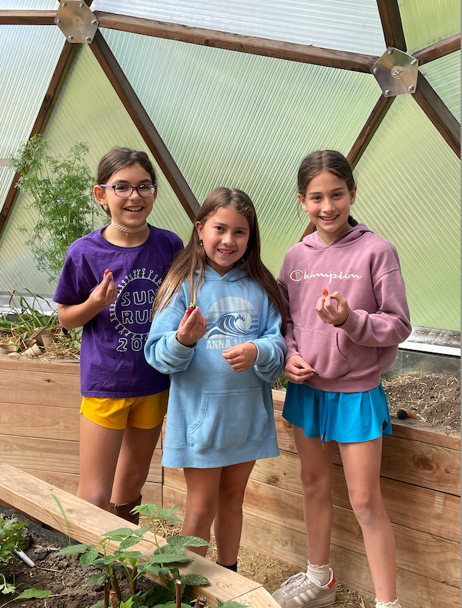 Students in the greenhouse