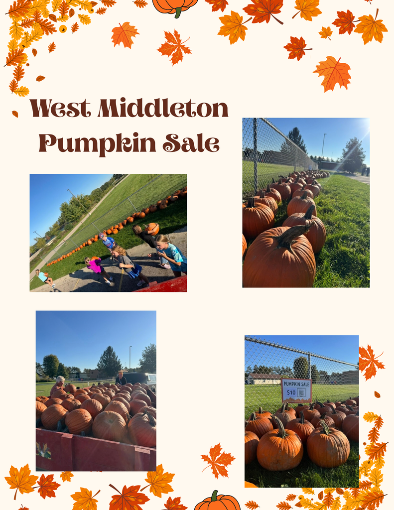 Pumpkins for sale