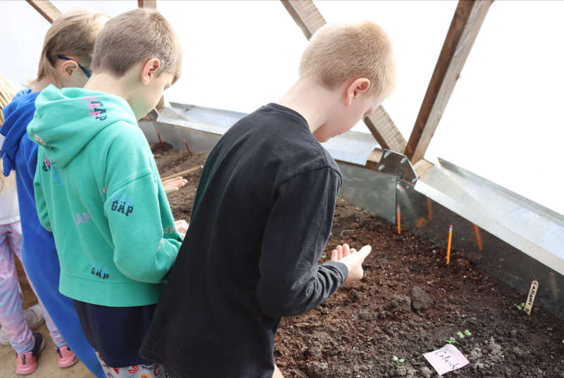 Students in the greenhouse