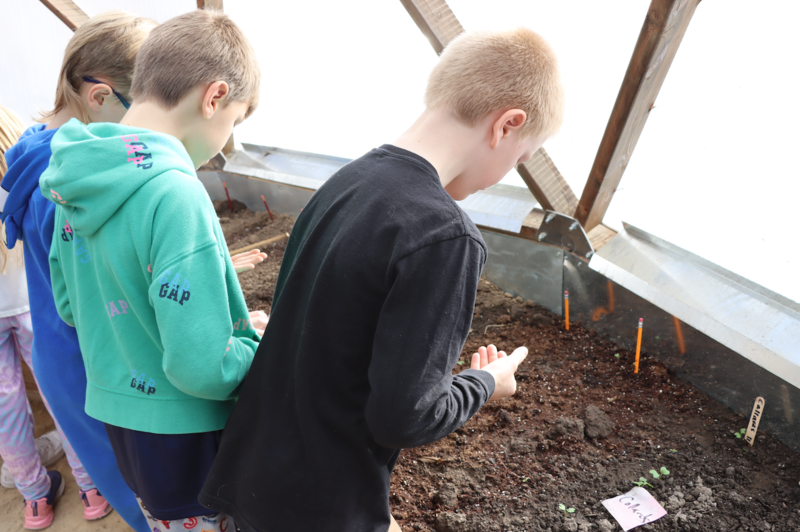 Students in the greenhouse