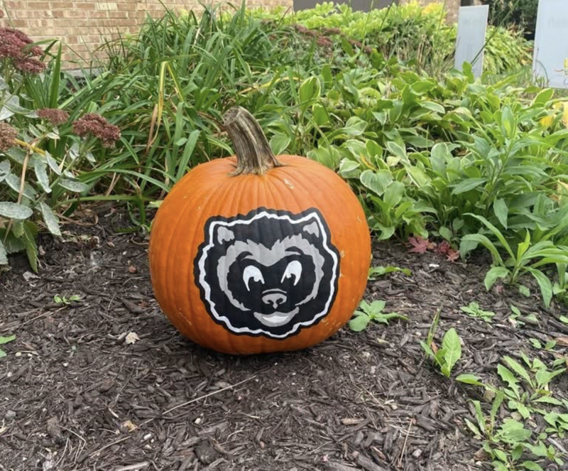 Pumpkin painted with West Middleton Elementary School mascot, Willy the Wolverine