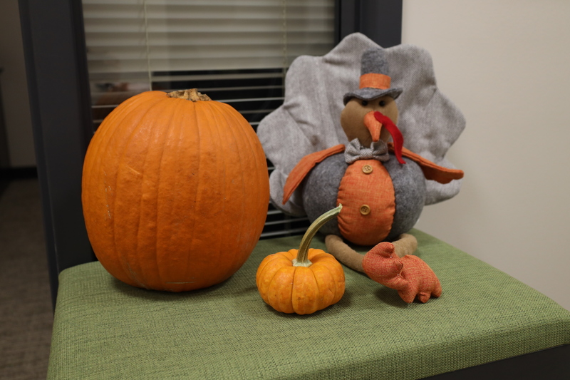 Pumpkins next to a plush animal turkey decoration