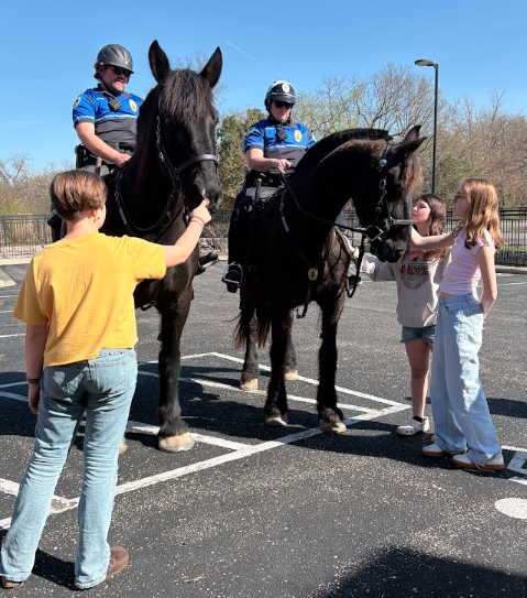 Club members interacting with horses