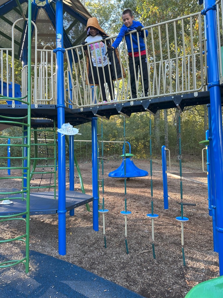 Students created containers for their eggs and dropped them from the playground.