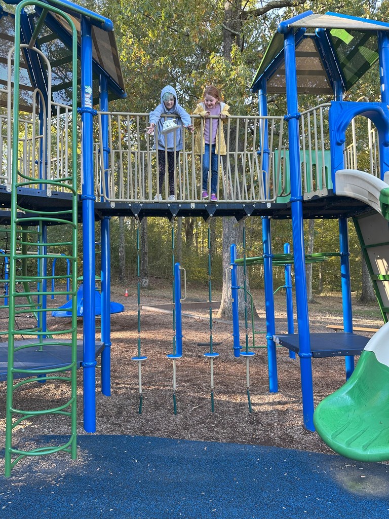 Students created containers for their eggs and dropped them from the playground.