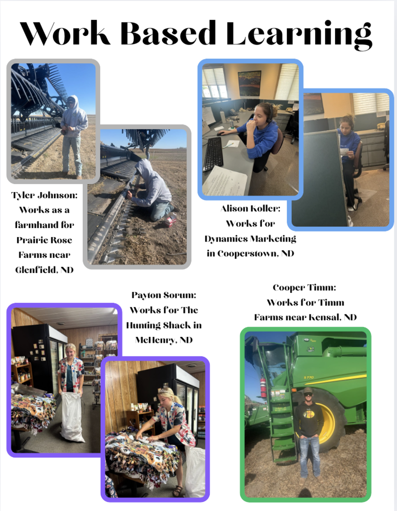 Photos of students at their job sites