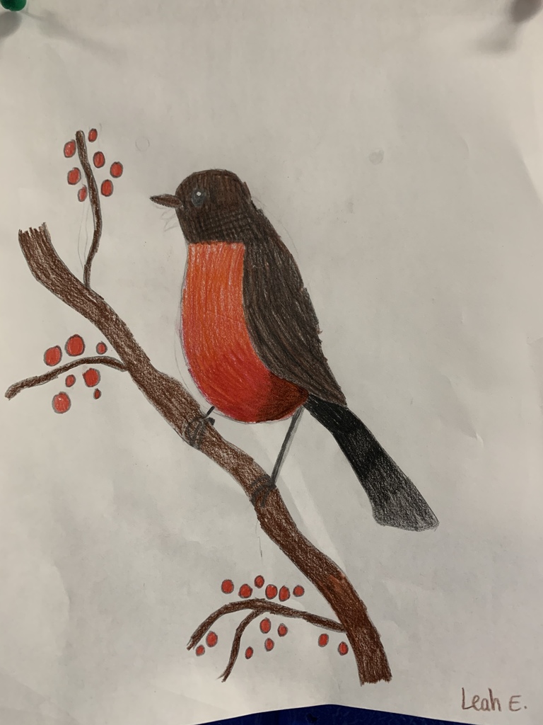 6th Grade Colored Pencil Art