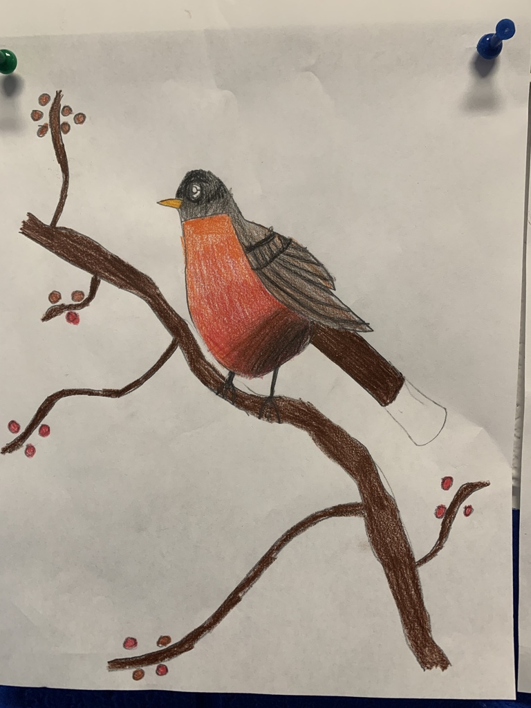 6th Grade Colored Pencil Art