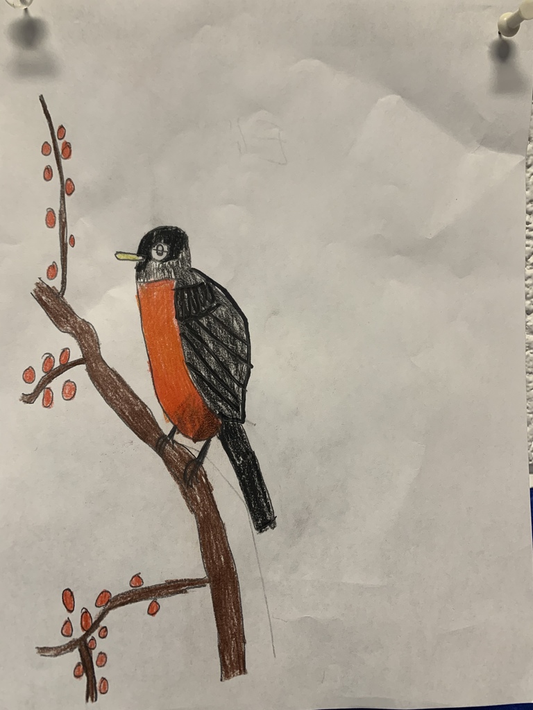 Spring Robins in Colored Pencil