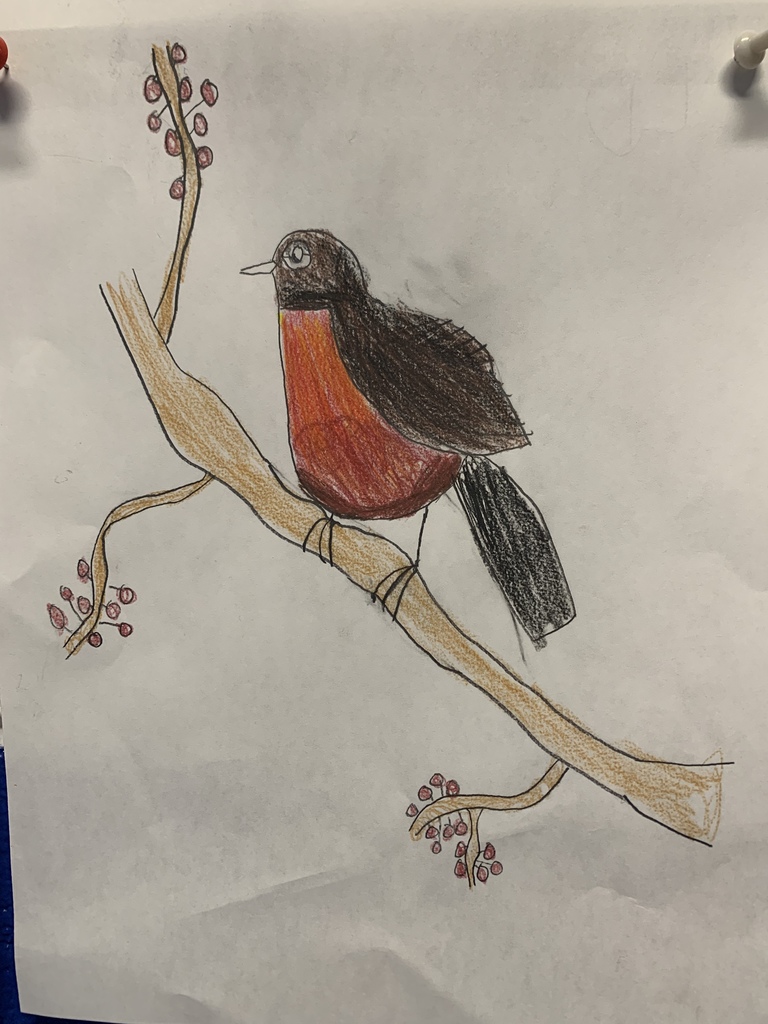 6th Grade Colored Pencil Art