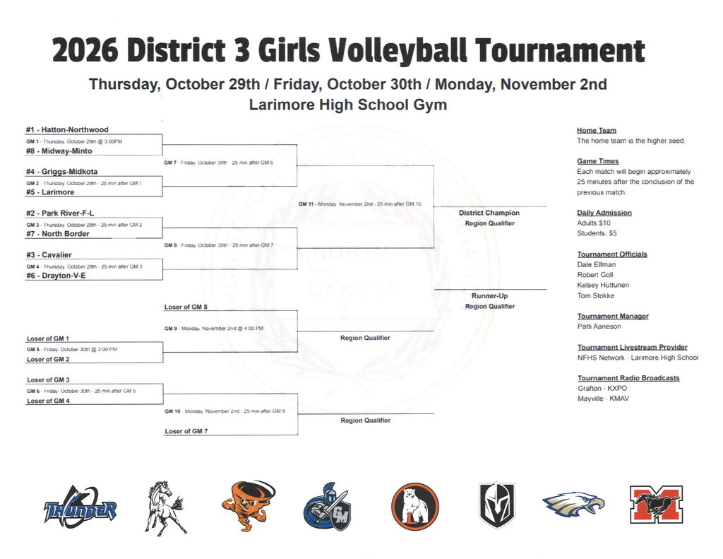 D3 VB Tourney